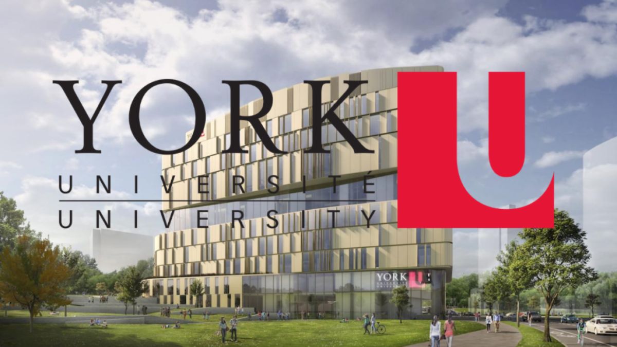 York University