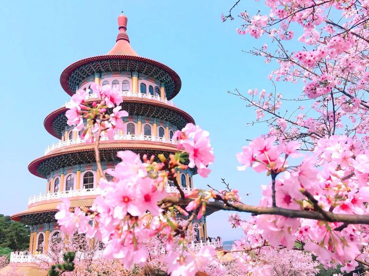 Tuyển sinh du học Đài Loan kỳ mùa xuân tháng 2/2027 – Cơ hội học tập tại môi trường quốc tế